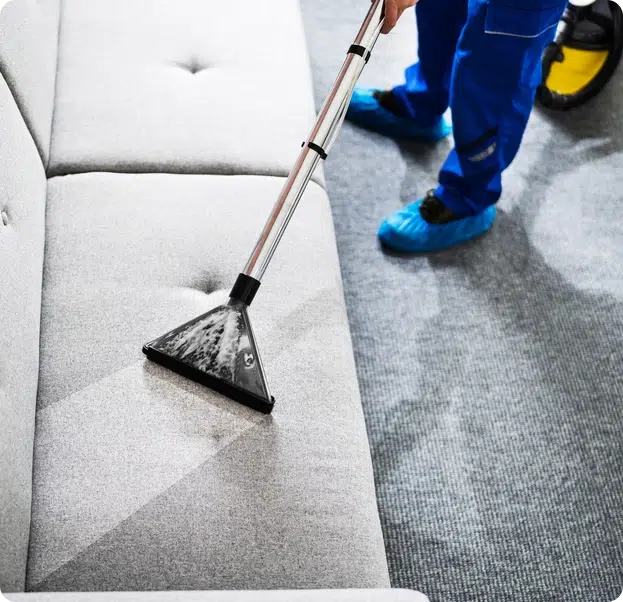 Best Cleaning Services