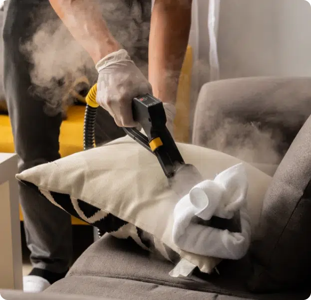 Best Sofa Cleaning