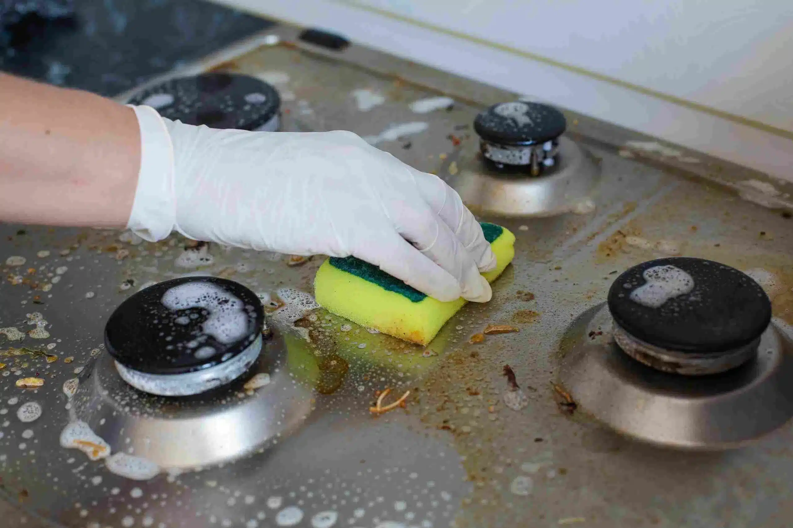 Kitchen Cleaning Services