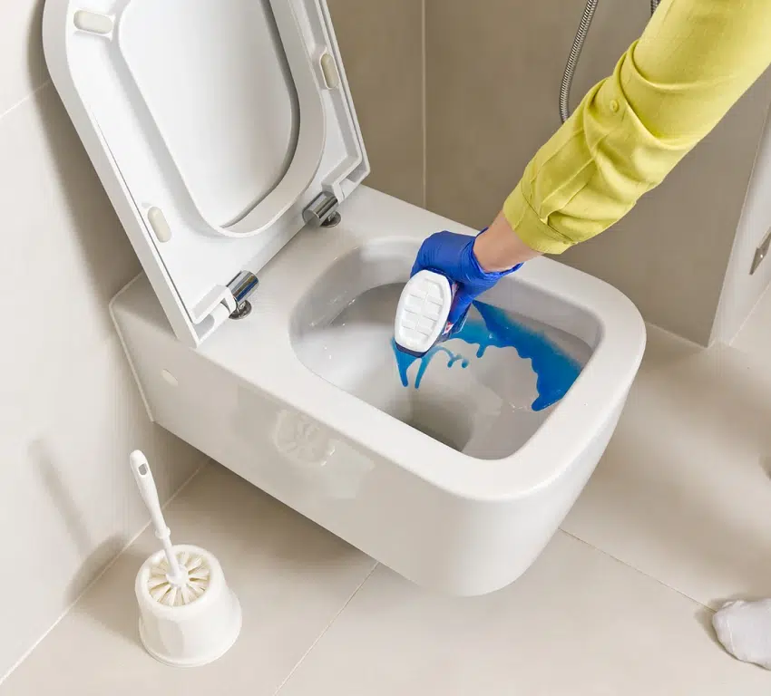 Toilet Cleaning Service