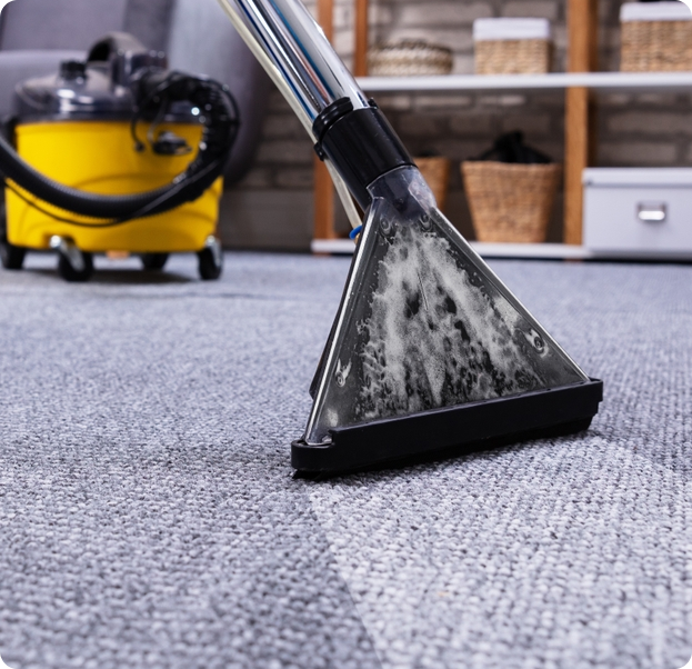 Carpet Cleaning Service