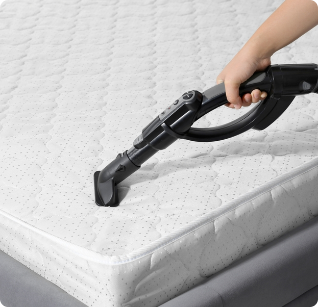 Sofa Cleaning Services