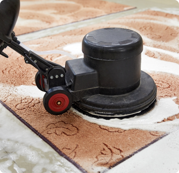 Carpet Cleaning Service